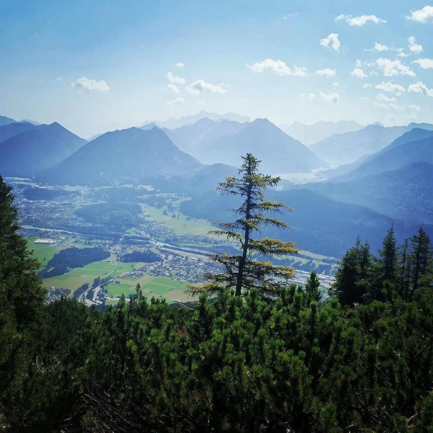 Alpapart Hornberg Höfen Extérieur photo