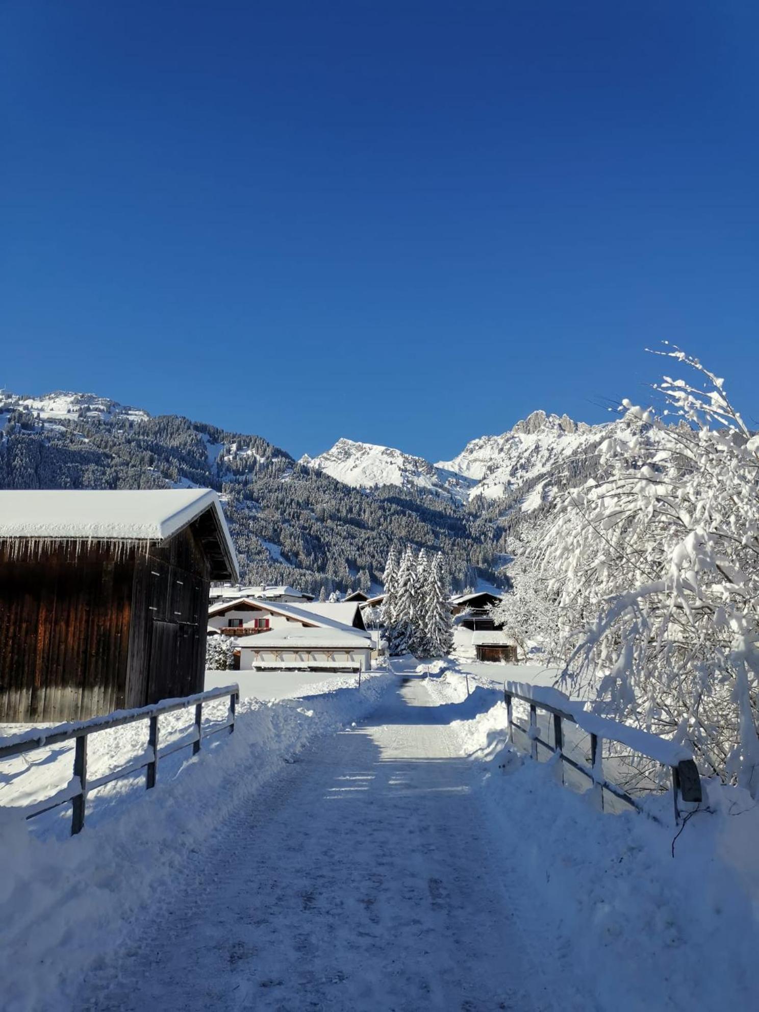 Alpapart Hornberg Höfen Extérieur photo