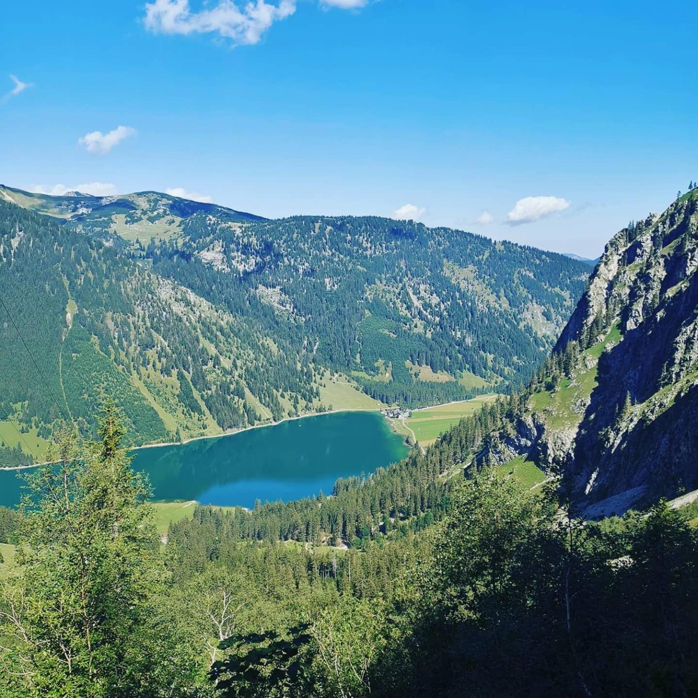 Alpapart Hornberg Höfen Extérieur photo