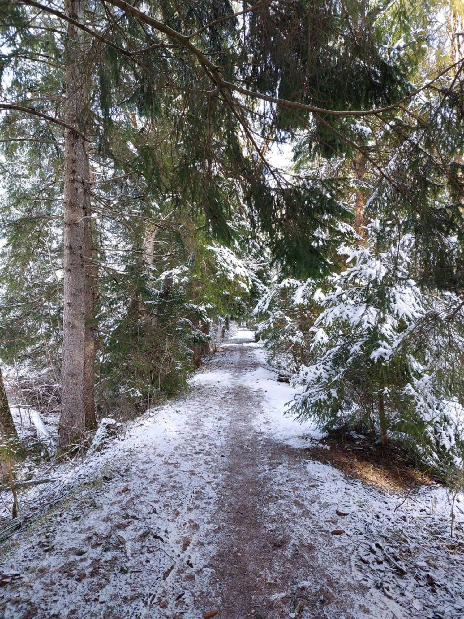 Alpapart Hornberg Höfen Extérieur photo